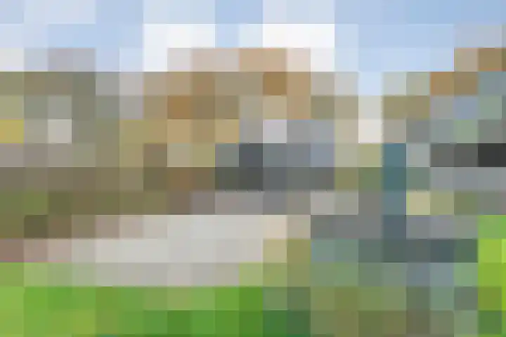 Vledderweg 24 Vledder thumbnail 67