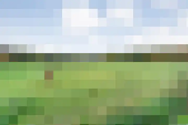 Vledderweg 24 Vledder thumbnail 75