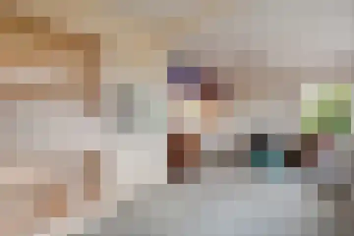 Vledderweg 29 Vledder thumbnail 15