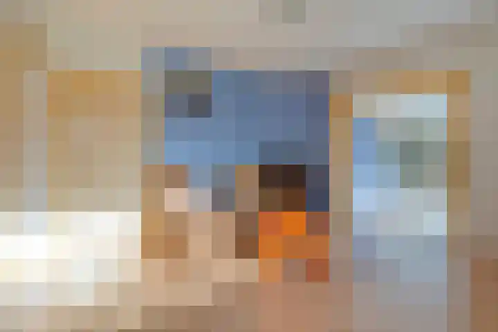 Vledderweg 29 Vledder thumbnail 18