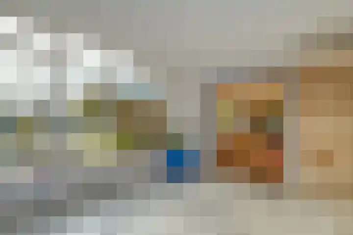 Vledderweg 29 Vledder thumbnail 21