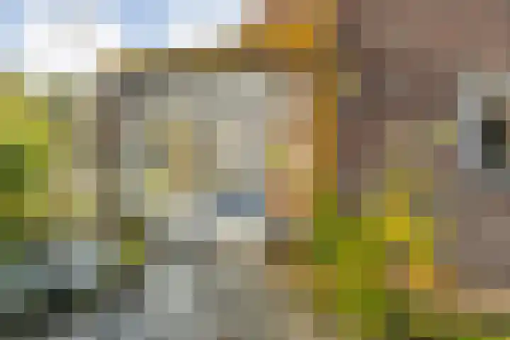 Vledderweg 29 Vledder thumbnail 42