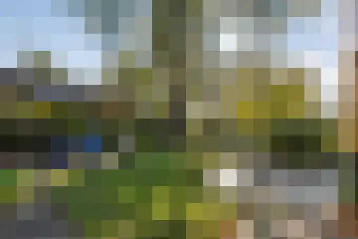 Vledderweg 29 Vledder thumbnail 46