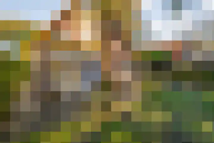 Vledderweg 29 Vledder thumbnail 48