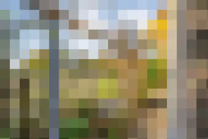 Vledderweg 29 Vledder thumbnail 49