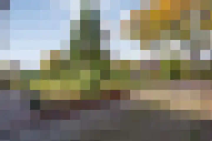 Vledderweg 29 Vledder thumbnail 8