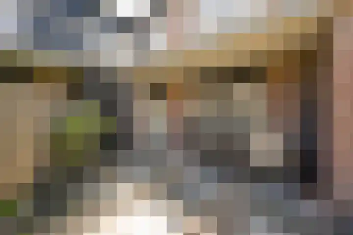 Vleenenck 1 Nijkerk thumbnail 10