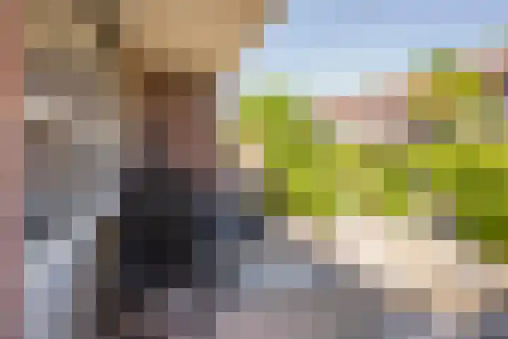 Vleenenck 1 Nijkerk thumbnail 11