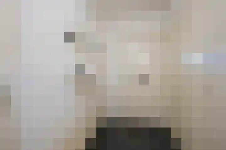 Vleenenck 1 Nijkerk thumbnail 12