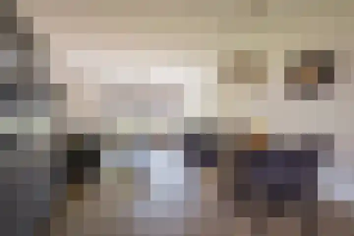 Vleenenck 1 Nijkerk thumbnail 19