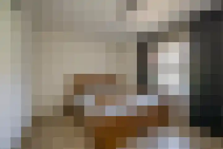 Vleenenck 1 Nijkerk thumbnail 20