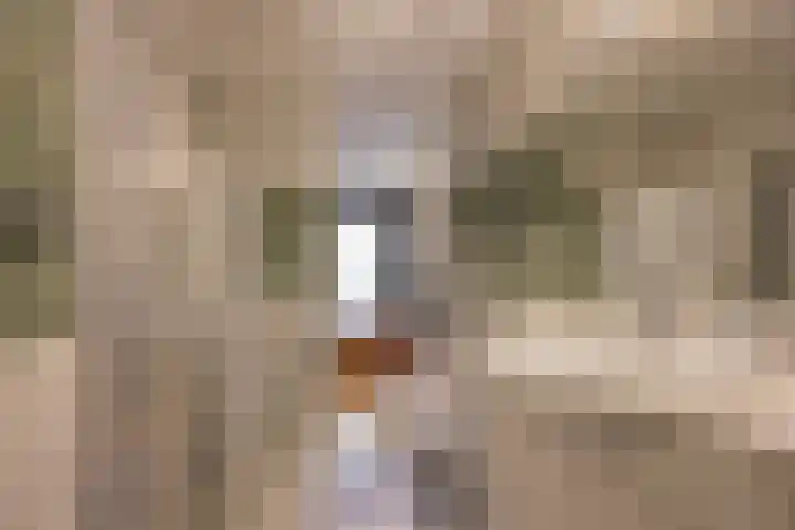 Vleenenck 1 Nijkerk thumbnail 22