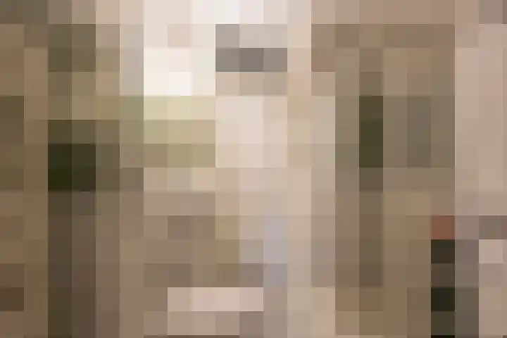Vleenenck 1 Nijkerk thumbnail 23
