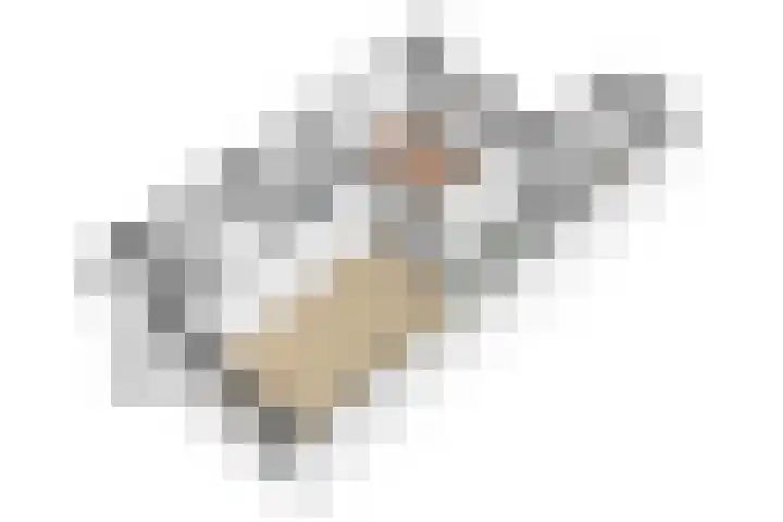 Vleenenck 1 Nijkerk thumbnail 28