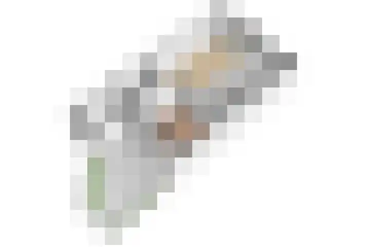 Vleenenck 1 Nijkerk thumbnail 30