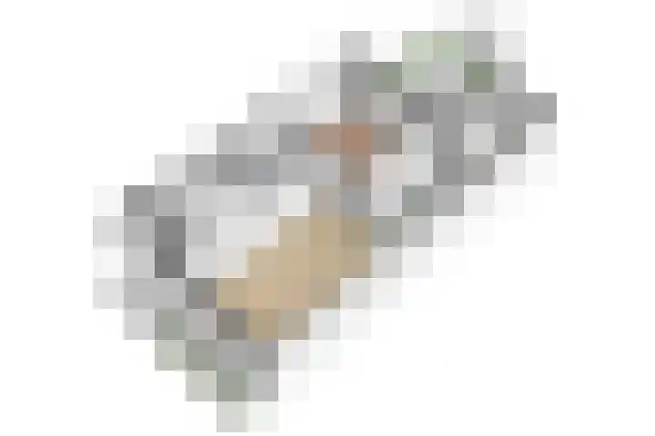 Vleenenck 1 Nijkerk thumbnail 31