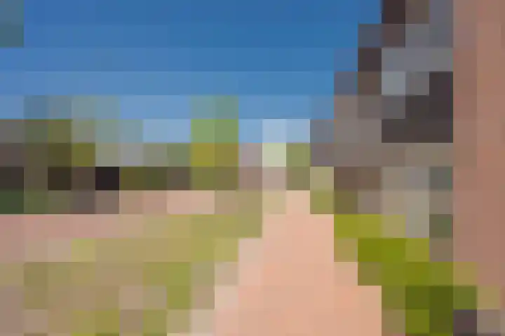 Vleenenck 1 Nijkerk thumbnail 6