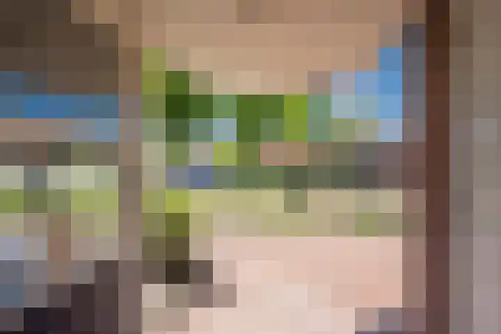 Vleenenck 1 Nijkerk thumbnail 8