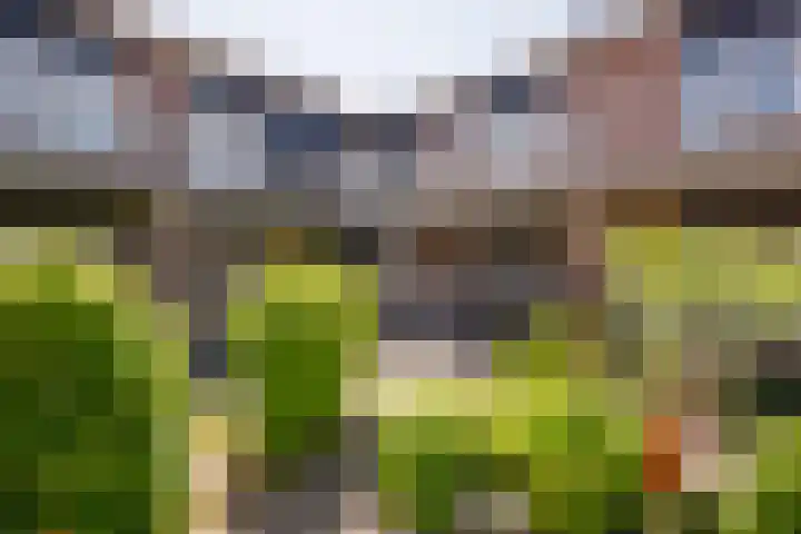 Vleenenck 1 Nijkerk thumbnail 9