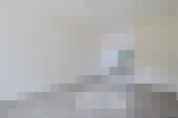 Vleerackers 17 Emmen thumbnail 10