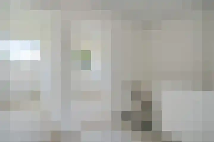 Vleerackers 17 Emmen thumbnail 14