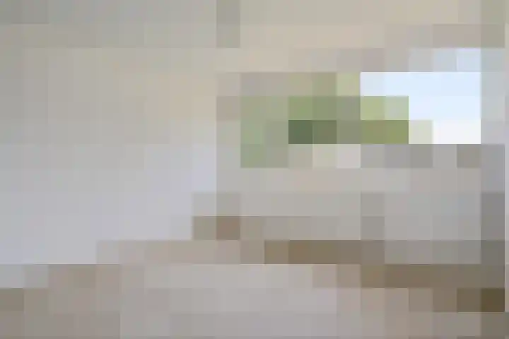Vleerackers 17 Emmen thumbnail 16