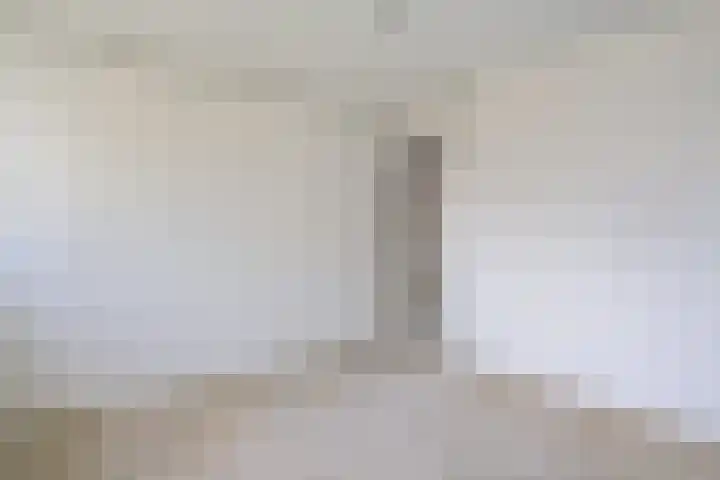 Vleerackers 17 Emmen thumbnail 17