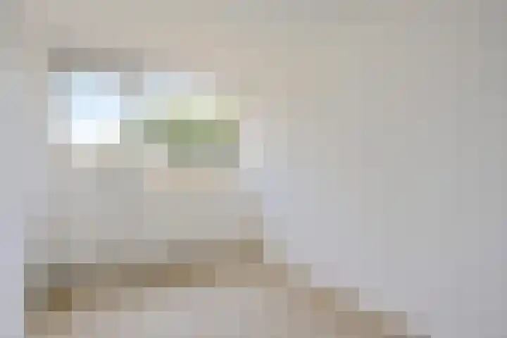 Vleerackers 17 Emmen thumbnail 18