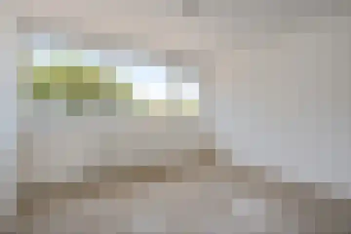 Vleerackers 17 Emmen thumbnail 20