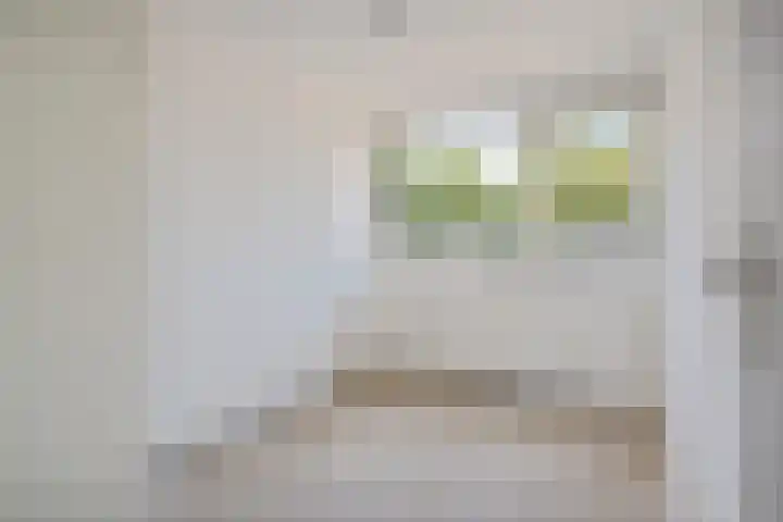 Vleerackers 17 Emmen thumbnail 22