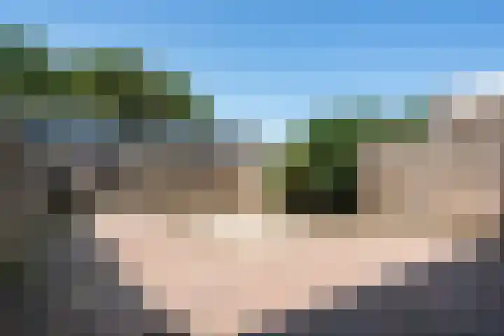 Vleerackers 17 Emmen thumbnail 29