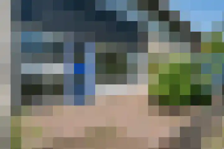 Vleerackers 17 Emmen thumbnail 30