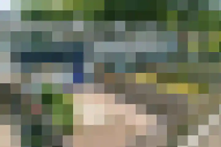 Vleerackers 17 Emmen thumbnail 31