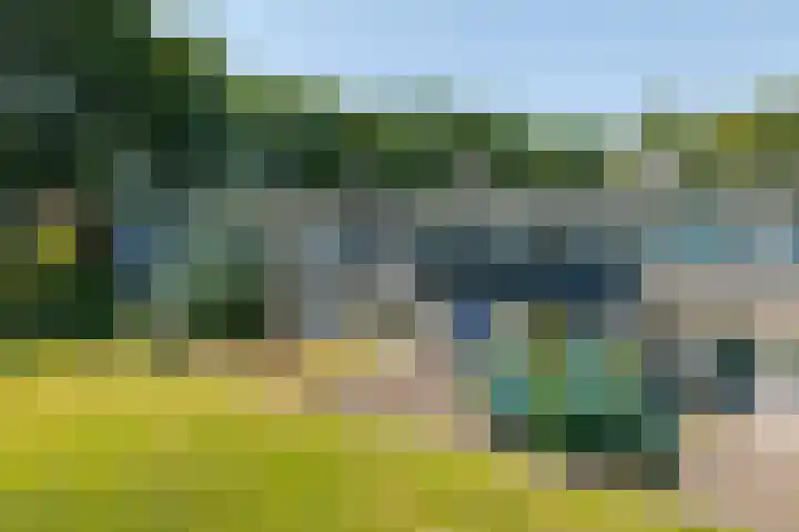 Vleerackers 17 Emmen thumbnail 32