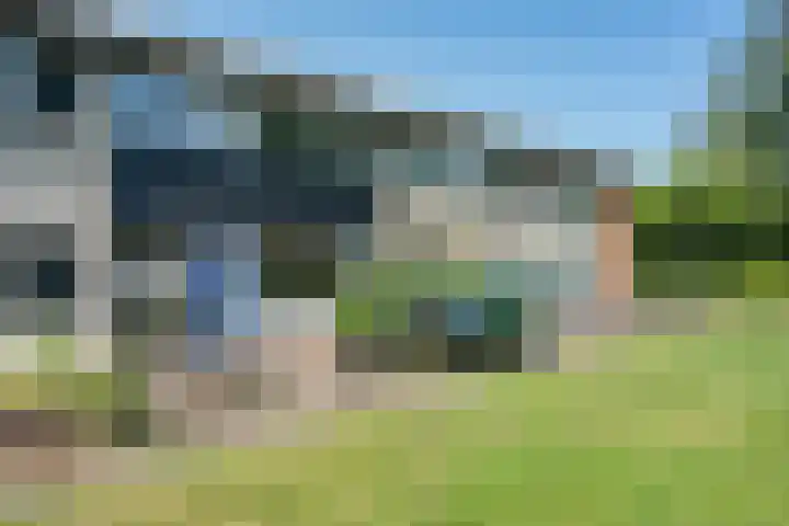 Vleerackers 17 Emmen thumbnail 35