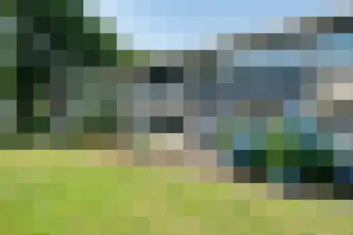 Vleerackers 17 Emmen thumbnail 36