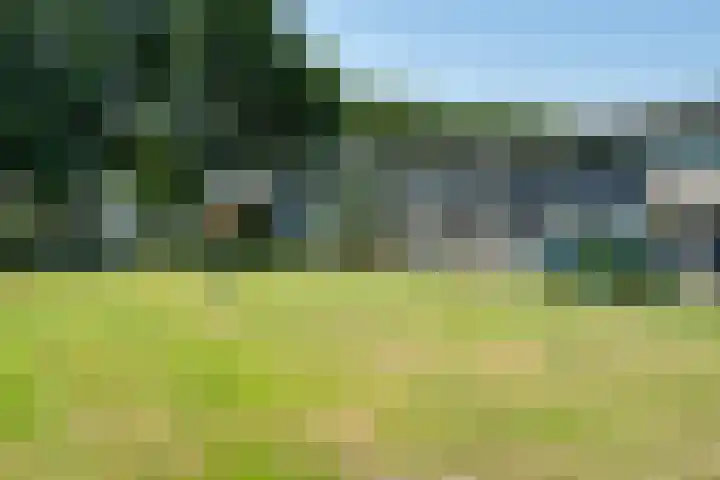 Vleerackers 17 Emmen thumbnail 37