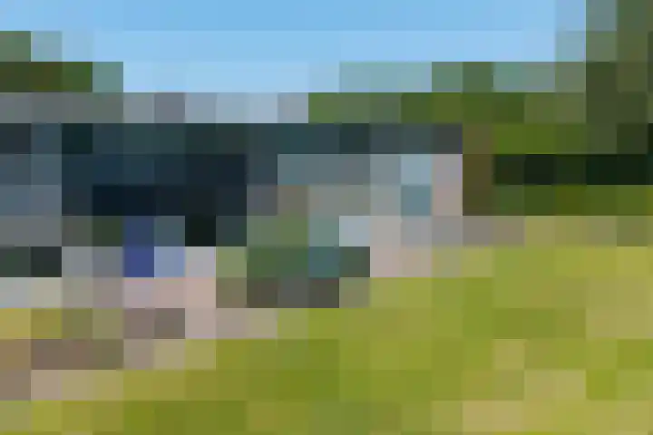 Vleerackers 17 Emmen thumbnail 39