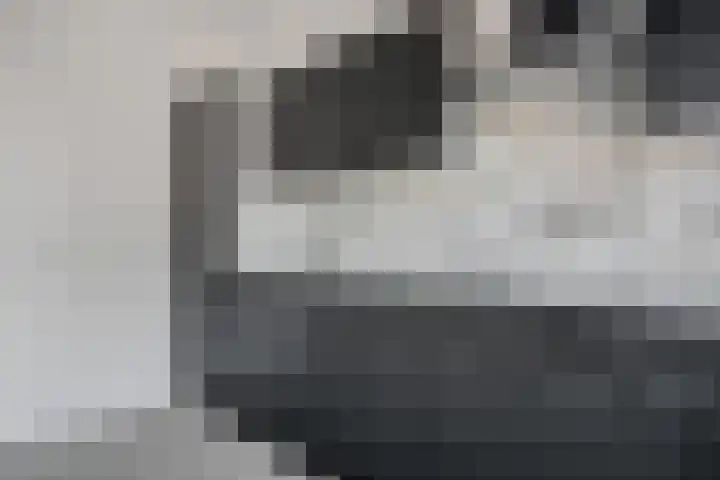 Vleerackers 17 Emmen thumbnail 4