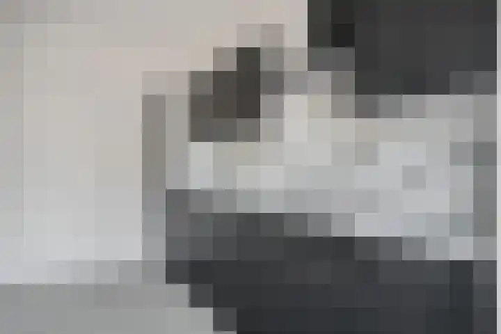 Vleerackers 17 Emmen thumbnail 5