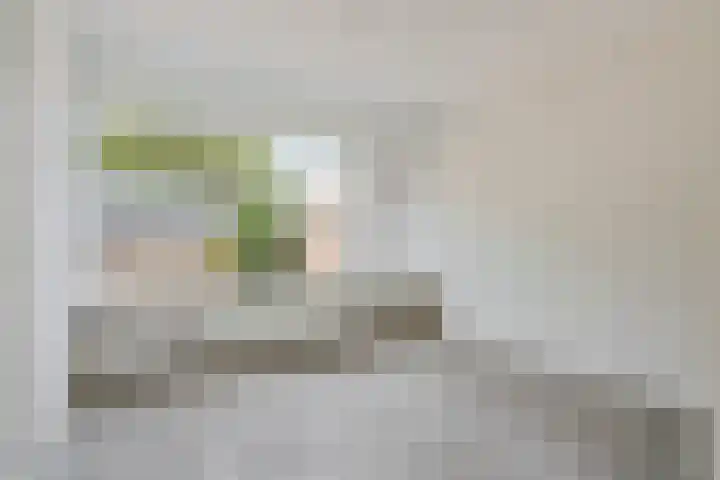Vleerackers 17 Emmen thumbnail 8