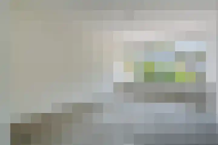 Vleerackers 17 Emmen thumbnail 9