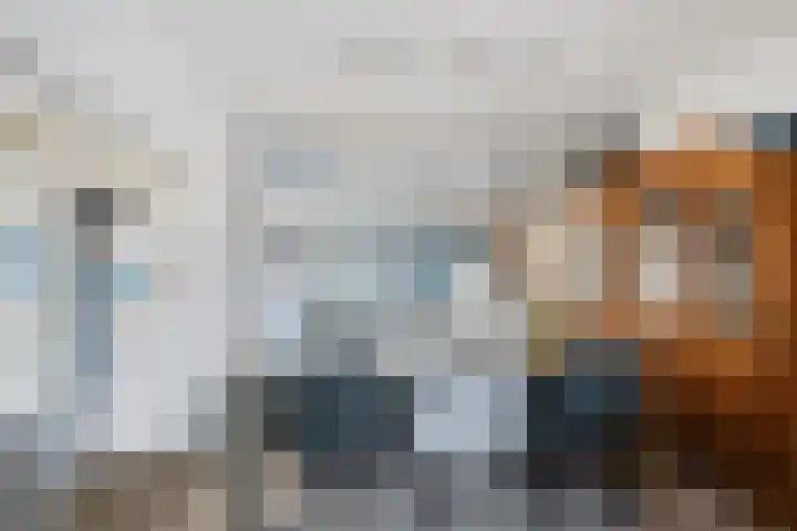 Vleerackers 40 Emmen thumbnail 11