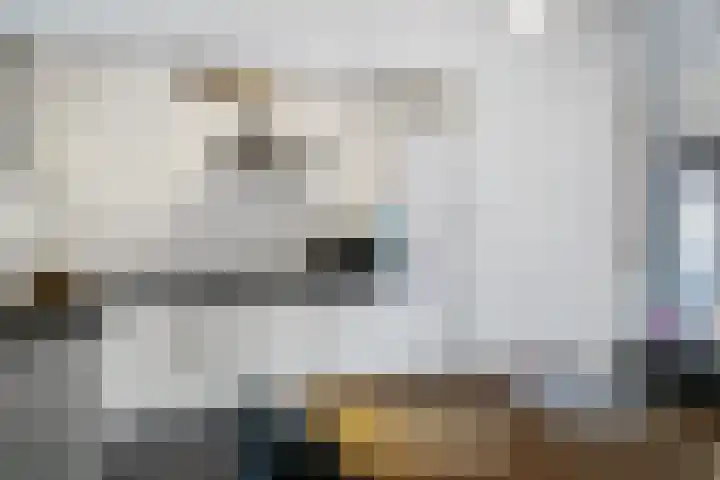 Vleerackers 40 Emmen thumbnail 12