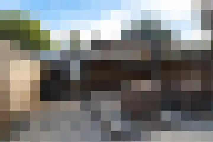 Vleerackers 40 Emmen thumbnail 25