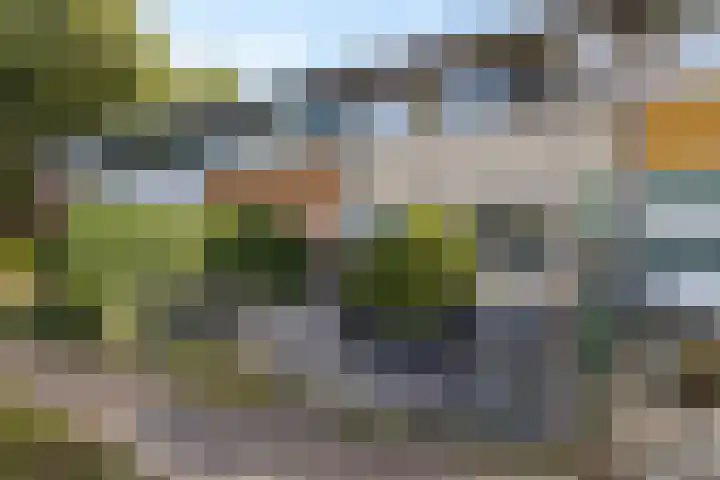 Vleerackers 40 Emmen thumbnail 27