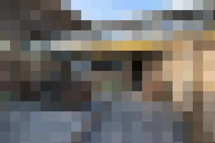 Vleerackers 40 Emmen thumbnail 28