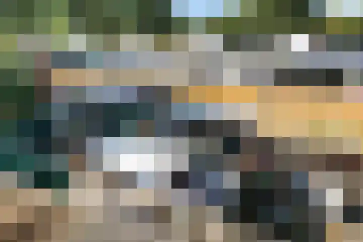 Vleerackers 40 Emmen thumbnail 29