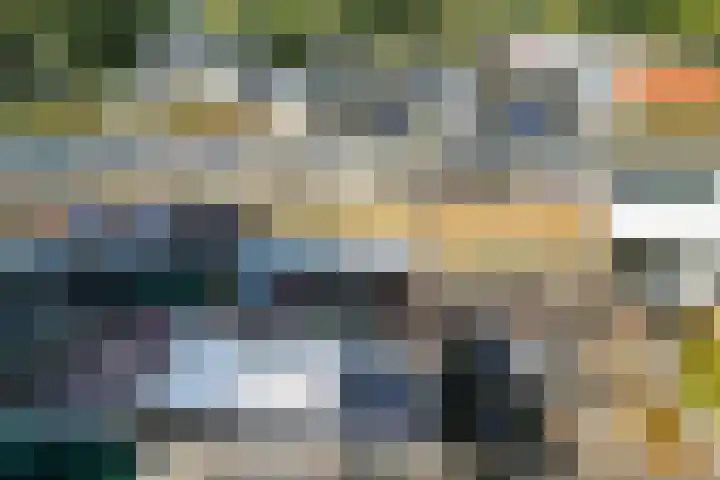 Vleerackers 40 Emmen thumbnail 30