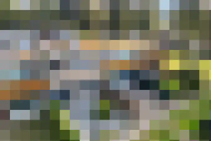 Vleerackers 40 Emmen thumbnail 31